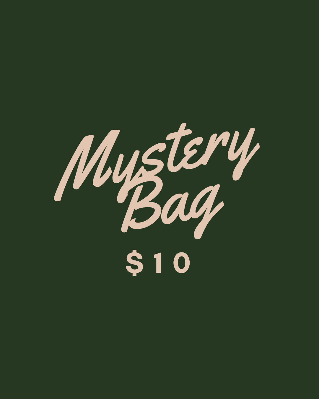 $10 Mystery Bag!